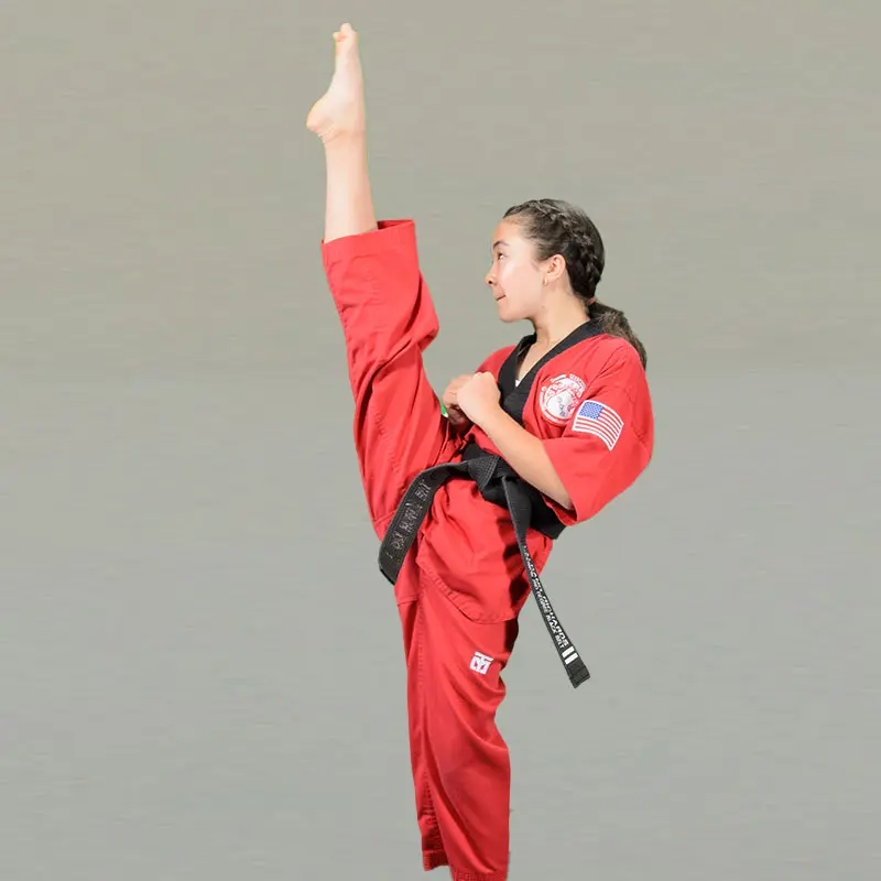 South Florida Virtual Kids Martial Arts | %%sitename%%