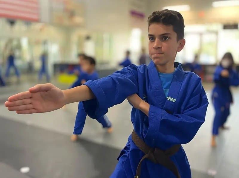 martial arts student performing a technique